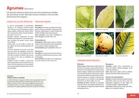 Les solutions de biocontrôle pour soigner les plantes du jardin. Légumes, fruits, végétaux d'ornement