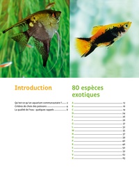 80 poissons exotiques. Les meilleures espèces pour aquarium d'eau douce