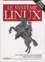Matt Welsh et Matthias Kalle Dalheimer - Le système Linux.