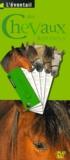  Play Bac - Les chevaux & poneys.