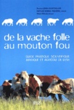 Paul Vieille et Jean-Louis Thillier - De la vache folle au mouton fou - Guide pratique, scientifique, juridique et agricole de l'ESB.