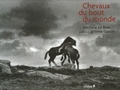 Michèle Le Braz - Chevaux du bout du monde.