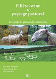 Bérengère Languille et Marie-Claude Bal - Filière ovine et paysage pastoral - L'exemple du plateau de Millevaches.