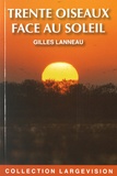 Gilles Lanneau - Trente oiseaux face au soleil.