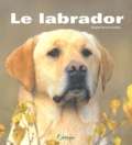 Brigitte Bulard Cordeau - Le labrador.