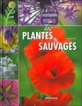 Jean-Marie Polese et  Losange - Encyclopédie visuelle des plantes sauvages.