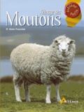 Alain Fournier - L'élevage des Moutons.