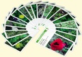  Educagri - Malherbo'cartes - Jeu de reconnaissance des plantes adventices des cultures.
