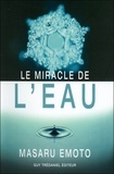 Masaru Emoto - Le miracle de l'eau.