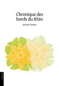 Sylvain Tesson - Chronique des bords du Rhin.