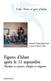 Aminah Mohammad-Arif et Jean Schmitz - Figures d'Islam après le 11 septembre - Disciples et martyrs, réfugiés et migrants.