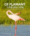 Georges Feterman et Muriel Hazan - Ce flamant n'est pas rose - Et autres vérités sur les couleurs de la nature.