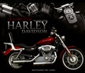 Peter Henshaw et Ian Kerr - Le livre d'or des Harley-Davidson - Guide de la moto la plus populaire au monde.