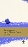 Ola Bauer - La nébuleuse de la Tête de Cheval.