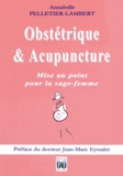 Annabelle Pelletier-Lambert - Obstétrique & acupuncture - Mise au point pour la sage-femme.