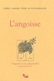 Daniel Widlöcher et Jacques Press - Libres cahiers pour la psychanalyse N° 21, printemps 201 : L'angoisse.