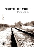 David Dupont - Sortie de voie.