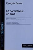 François Brunet - La normativité en droit.