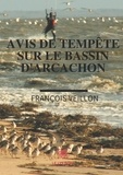 François Veillon - Avis de tempête sur le bassin d'Arcachon.