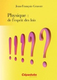 Jean-François Geneste - Physique : de l'esprit des lois.