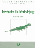 Andrei Teleman - Introduction à la théorie de jauge.