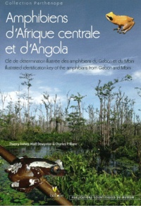 Thierry Frétey - Amphibiens dAfrique centrale et dAngola.