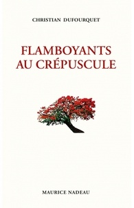 Christian Dufourquet - Flamboyants au crépuscule.
