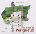Pascal Guillerm - Le piéton de Périgueux.