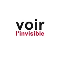 Jean-Pierre Gex - Voir l'invisible - Tome 2, Comprendre, Agir.