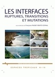 Françoise Pagney Bénito-Espinal - Les interfaces - Ruptures, transitions et mutations.