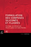 Pierre Lanteri et Claire Bordes - Formulation des composés siliconés et fluorés.