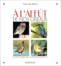 Pierre de Stexhe - A L'Affut De Nos Oiseaux. Photo-Guide Des Plus Belles Especes.