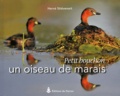 Hervé Stiévenart - Petit bouchon, un oiseau de marais.