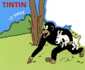  Hergé - Tintin - Le singe.