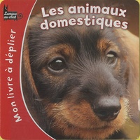 Gregory Denooz - Les animaux domestiques.