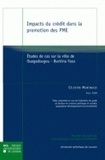 Célestin Murengezi - Impacts du crédit dans la promotion des PME - Etudes de cas sur la ville de Ouagadougou, Burkina Faso.