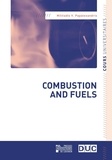 Miltiadis Papalexandris - Combustion and Fuels.