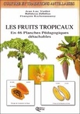 François Kichenassamy et Jean-Luc Vuillet - Les fruits tropicaux.
