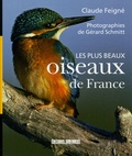 Claude Feigné - Les plus beaux oiseaux de France.