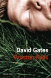 David Gates - Preston Falls.