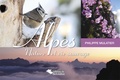 Philippe Mulatier - Alpes - Nature et vie sauvage.