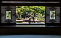 Japon. L'art fascinant du zen
