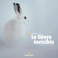 Olivier Born et Michel Bouche - Le lièvre invisible.