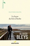 Olivier Bleys - La leçon du brin d'herbe.