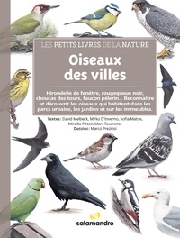 David Melbeck et Mirko D'inverno - Oiseaux des villes.