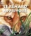 Alain Stanké - Le renard apprivoise.