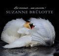 Suzanne Brûlotte - Les oiseaux ... une passion !.