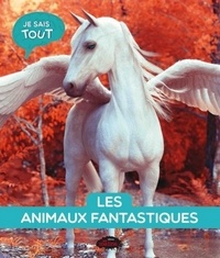 Naïla Aberkan - Les animaux fantastiques.