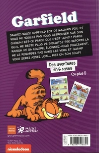 Garfield  De mauvais poil