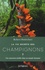 Robert Hofrichter - La vie secrète des champignons - Une incursion inédite dans un monde étonnant.